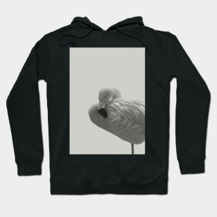 Flamingo 08 Hoodie